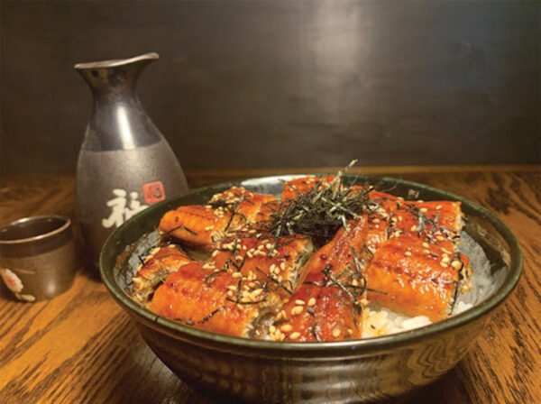 Unagi Don