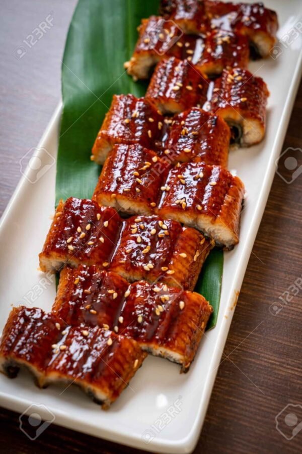 Unagi Kabayaki