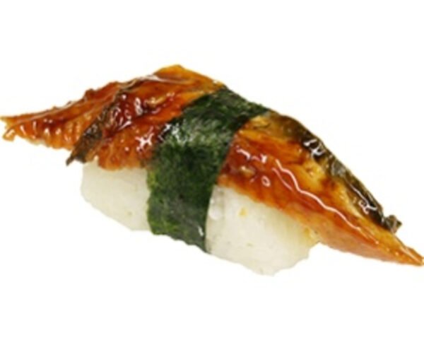 Unagi /P